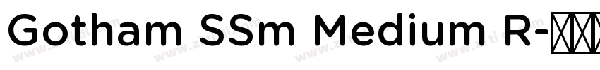 Gotham SSm Medium R字体转换